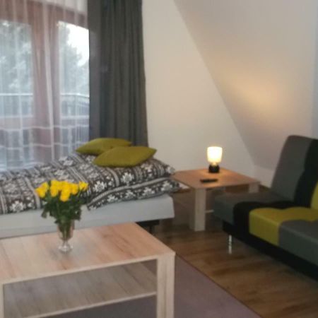 חוחולוב Apartamenty Lejowka מראה חיצוני תמונה