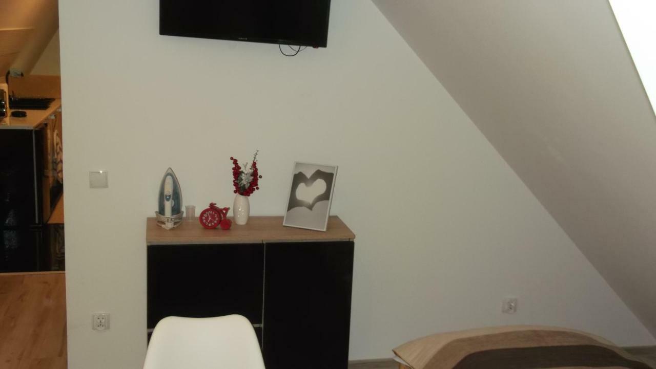 חוחולוב Apartamenty Lejowka מראה חיצוני תמונה