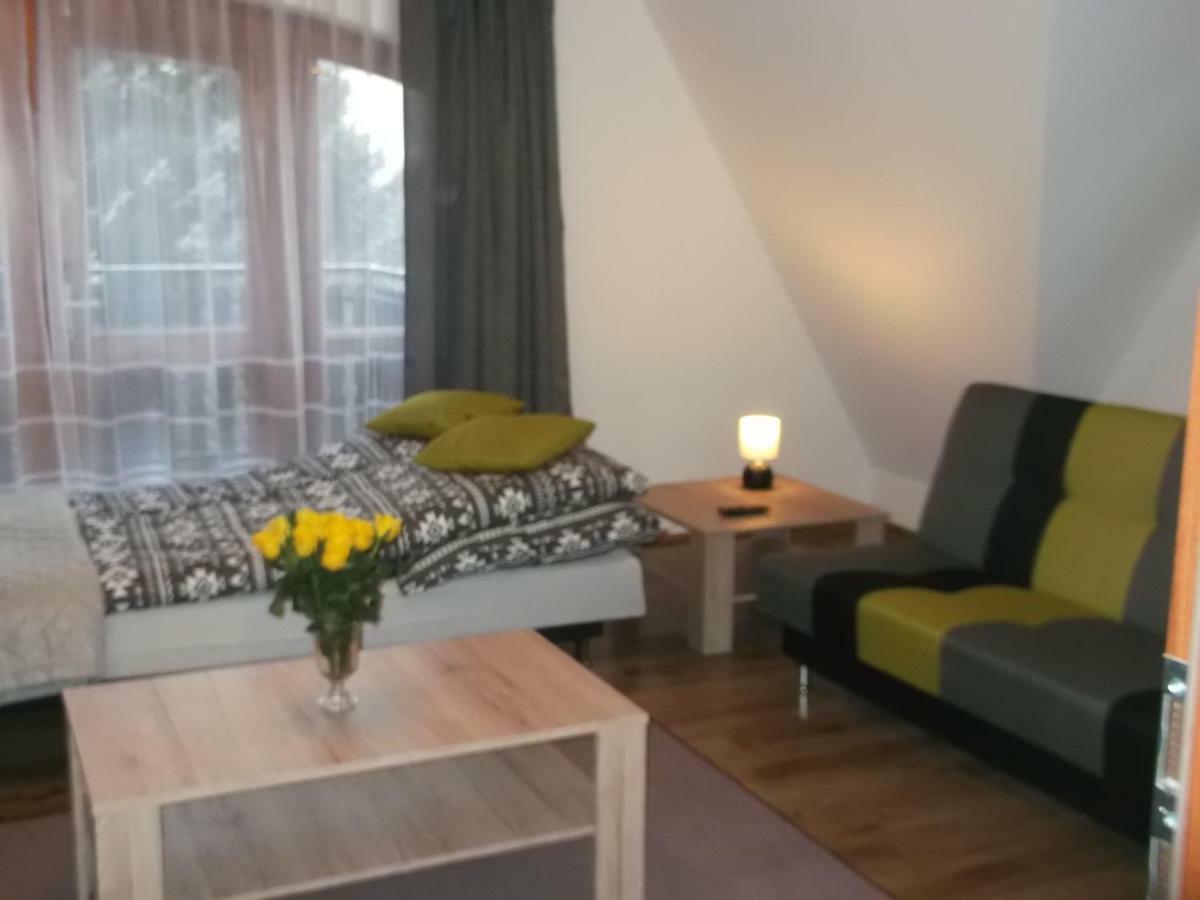 חוחולוב Apartamenty Lejowka מראה חיצוני תמונה